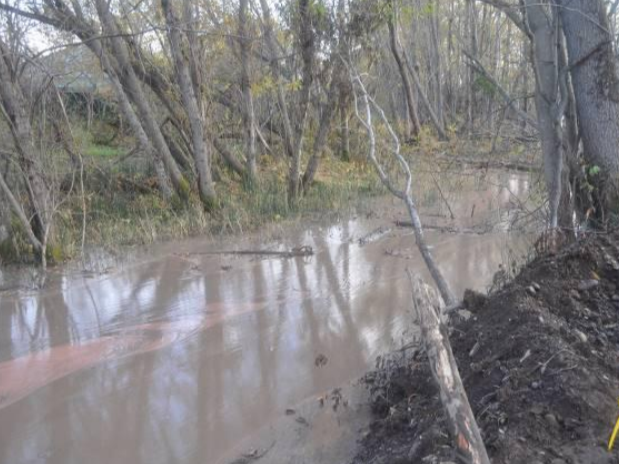 Russia Fines Builder for Polluting Sensitive Kamchatka Region