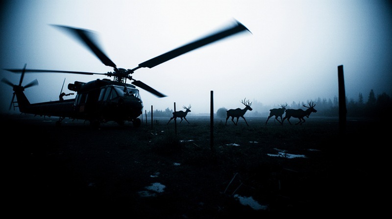 Kamchatka Tragedy: Election Helicopter Sparks Deadly Reindeer Stampede