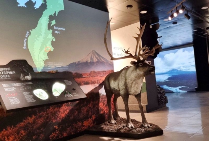 Kamchatka’s Kronotsky Reserve: 91 Years of Preserving a Global Treasure