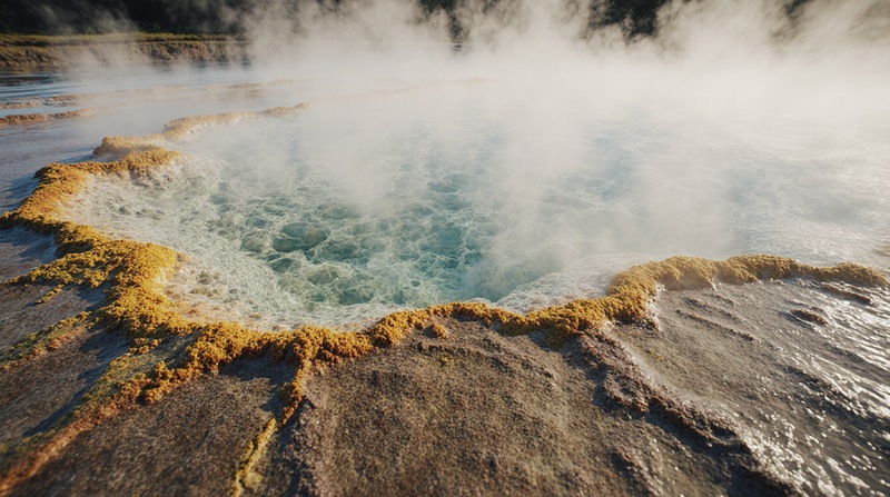 Ancient Microbes in Russia’s Hot Springs Hold Key to Industrial Future