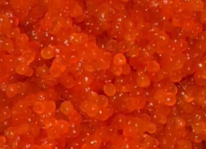Kamchatka Safeguards Pacific Salmon: Rigorous Roe Checks Underway