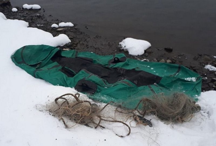 Kamchatka Crackdown: Russian Fishery Agency Combats Illegal Fishing