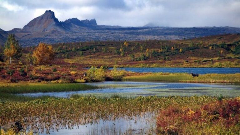 Kamchatka’s ‘Living Lab’ Reveals Startling Evolution in Isolation