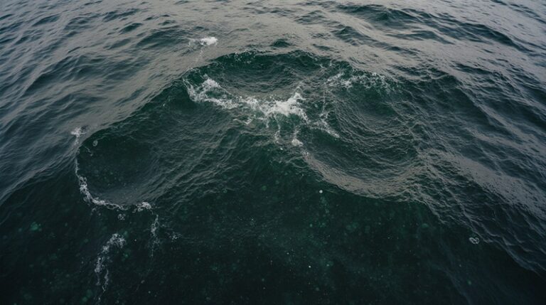 Giant Tides, Giant Impact: Kamchatka Bay’s Surprising Climate Role