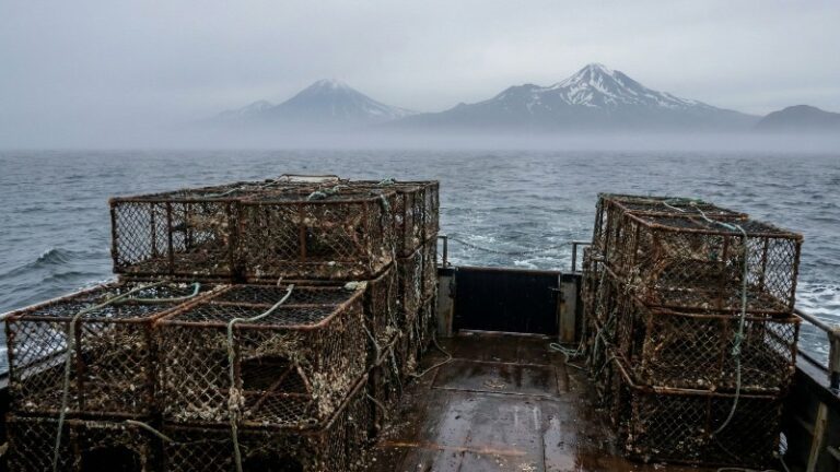 Russia’s Far East Sets Sail: 2026 Fishing Quotas Revealed