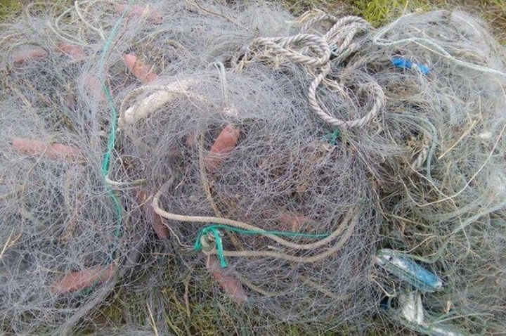 Kamchatka Poaching Crackdown: Few Arrests, Large Fines Levied