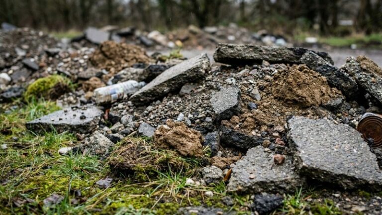 Kamchatka Court Slams Company with $8M+ Fine for Eco-Damage