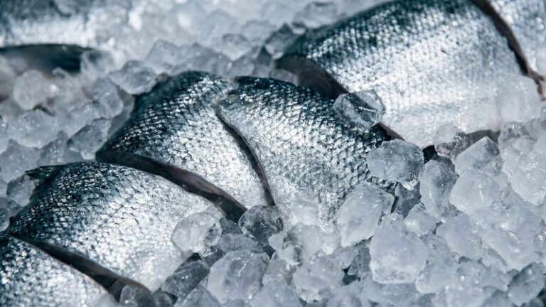 Kamchatka Forges New Social Contract: Fishery Access Demands Community Investment