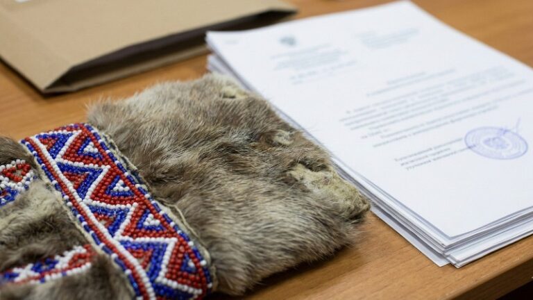 Kamchatka Pioneers Enhanced Access for Russia’s Indigenous Peoples