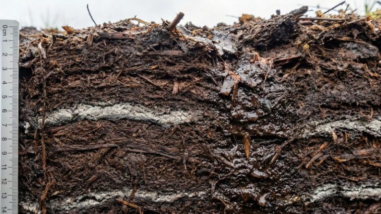 Kamchatka’s Past Holds Keys to Climate Resilience, Global Food Security