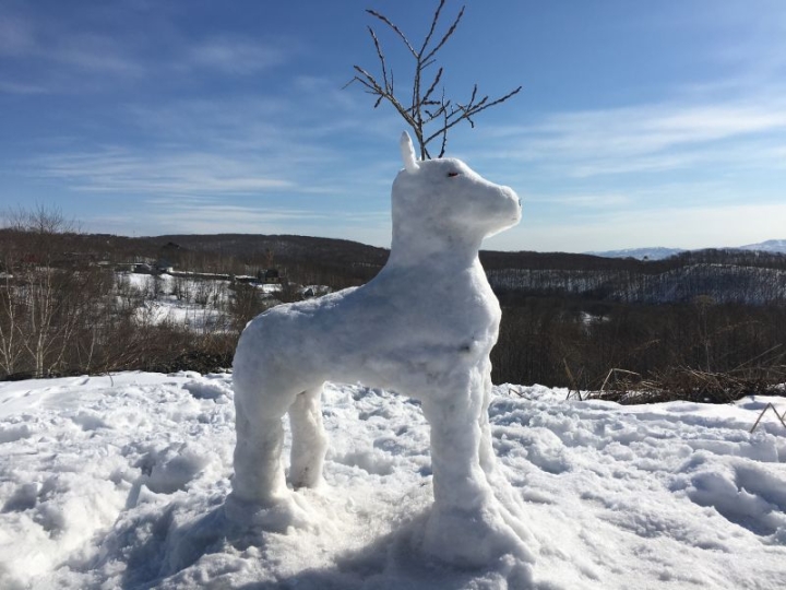Kamchatka’s Snow Sculptures: A Creative Call for Global Wildlife Conservation