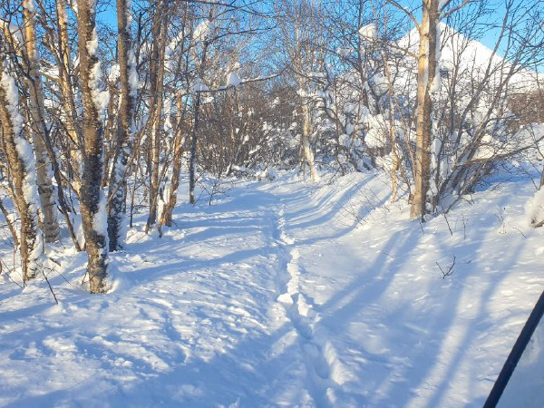 Unveiling Kamchatka’s Secrets: Winter Wildlife Census in Kronotsky