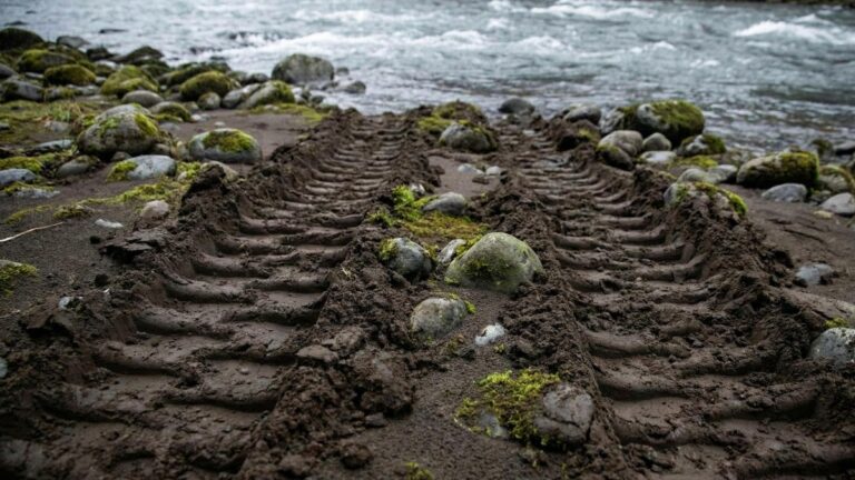 Kamchatka’s Ecological Alarm: Unsanctioned Works Threaten Vital Spawning River