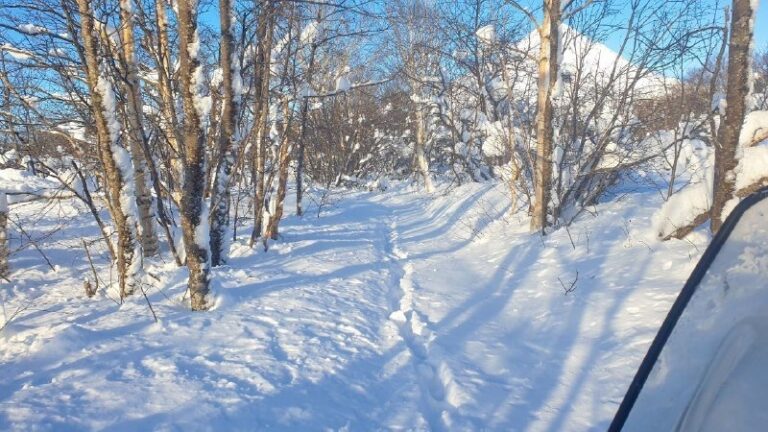 Russia’s Kronotsky Reserve: Braving Winter for Vital Wildlife Census