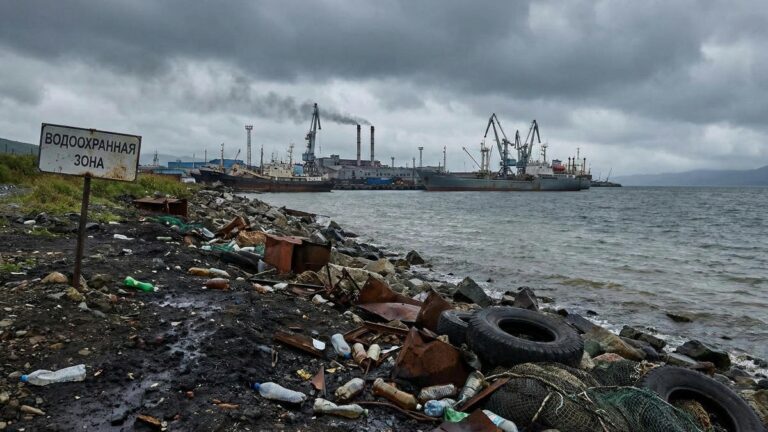 Kamchatka Port Firm Fined R14M for Massive Illegal Dump
