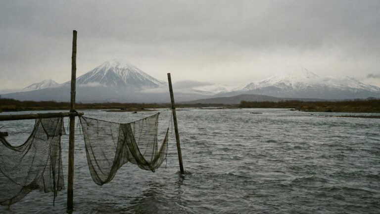 Kamchatka’s Salmon Crisis: Russia’s Far East Braces for Historic Low