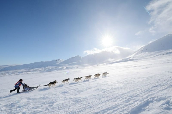 Far East Russia: Kamchatka Valley Shuts for Elite Dog Sled Race