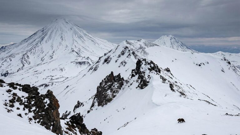 Kamchatka’s Wild Heartbeat: Snow Delays, Legal Gaps, and Lone Guardians