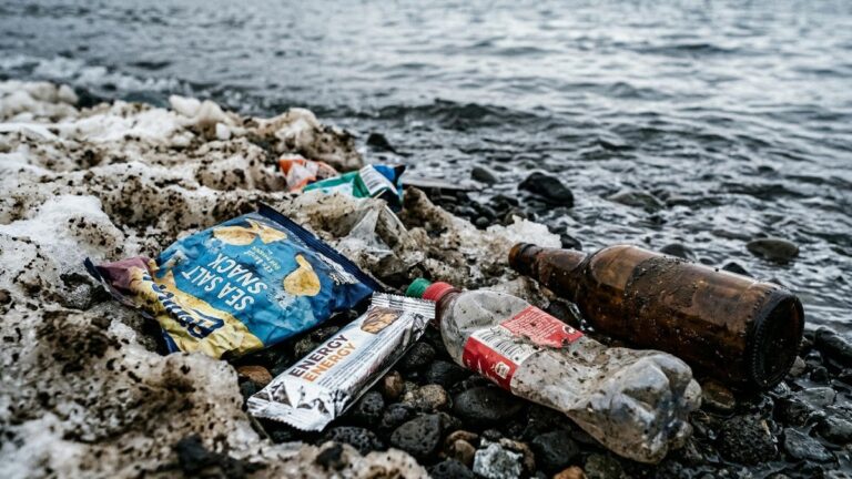 Kamchatka’s Protected Coastline Hit by Massive Illegal Waste Dump