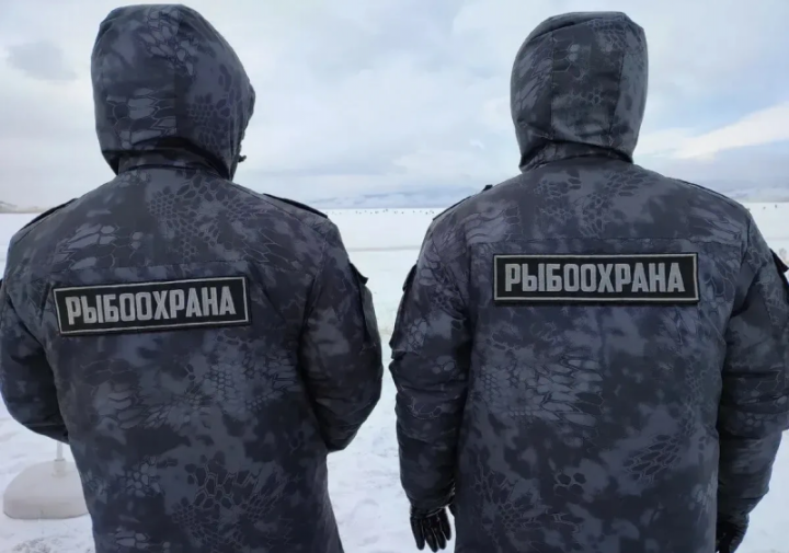 Kamchatka’s War on Poaching: 76 Arrests Signal Broader Commitment