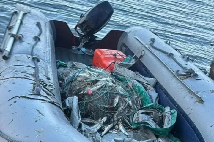 Kamchatka Crackdown: Poachers Busted in Avacha Estuary, Vessels Seized