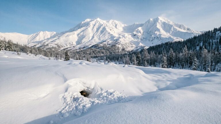 Kamchatka’s Icy Embrace: A Boon for Brown Bears Amidst Record Snowfall