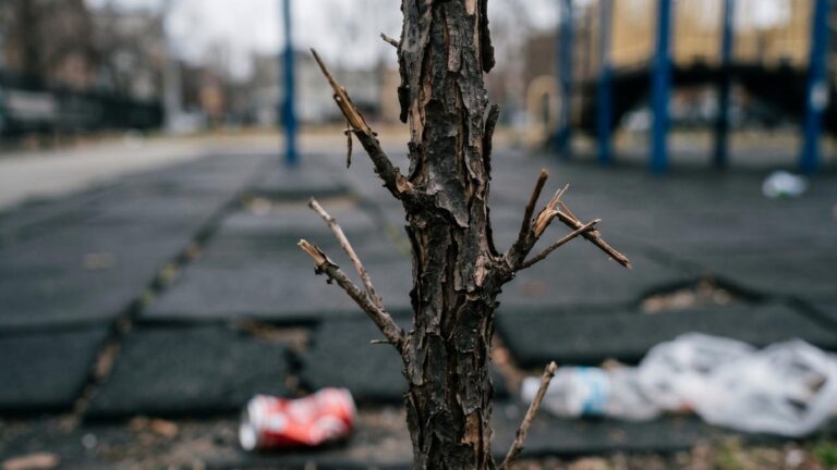 Russia’s $2.2M ‘Modern City’ Park Collapses After First Winter