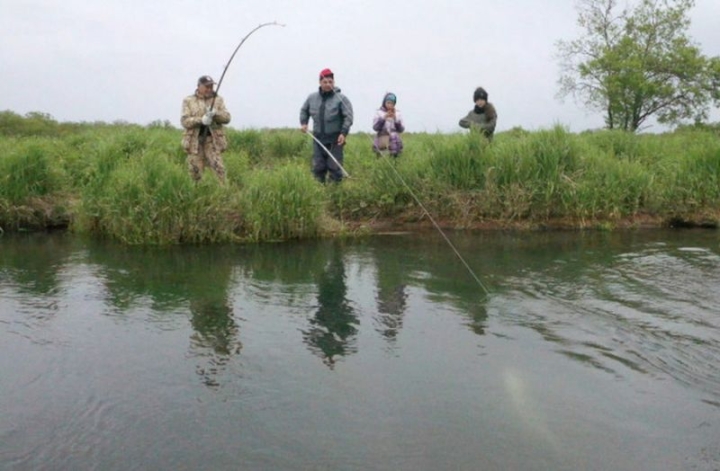 Russia Rejects Veteran’s Call for Salmon Limit Reform Amid Poor Harvest