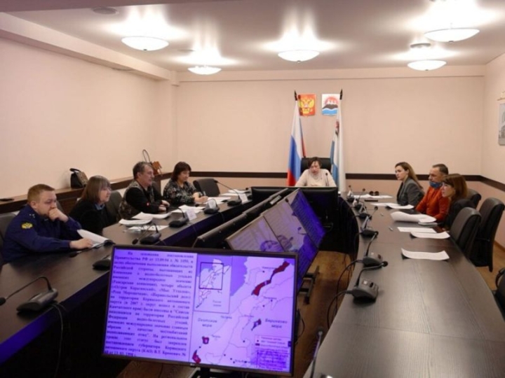 Russia’s Kamchatka Boosts Global Migratory Bird Corridor Protection