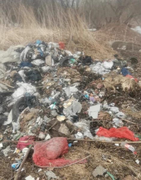 Russian Penal Colony Fined Millions for Massive Environmental Breach