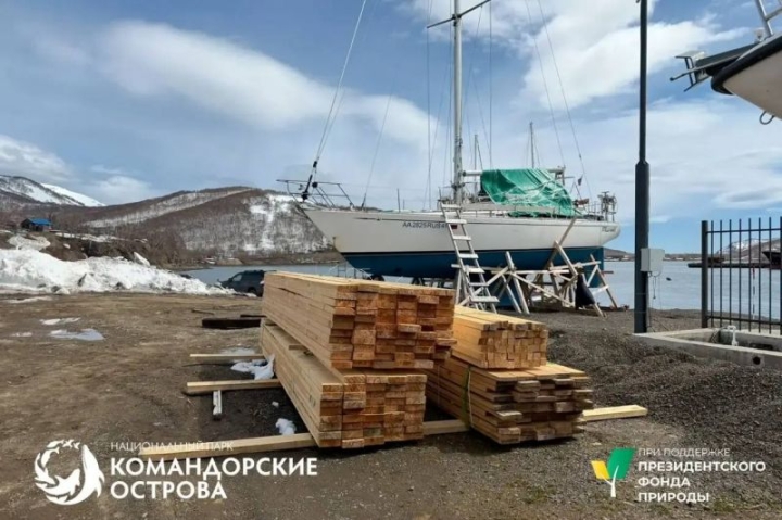Russia’s Far East: A Race to Save Endangered Arctic Fox on Medny Island