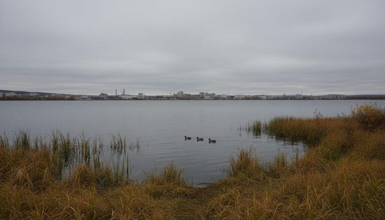 Kamchatka’s Silent Skies: Urban Growth Forces Waterfowl Exodus