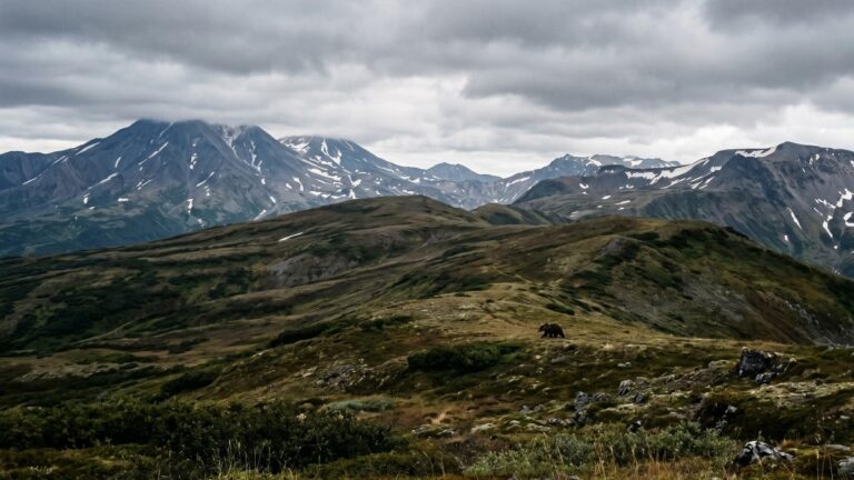 Kamchatka Sets New Global Standards for Human-Wildlife Proximity