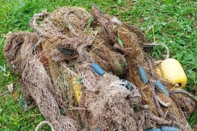 Illegal Fishing Gear Seized at Kamchatka’s Lake Kalygir