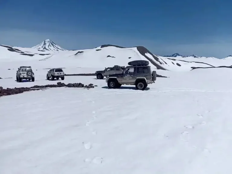 Environmental Patrols Uncover 16 Violations in Kamchatka Nature Parks