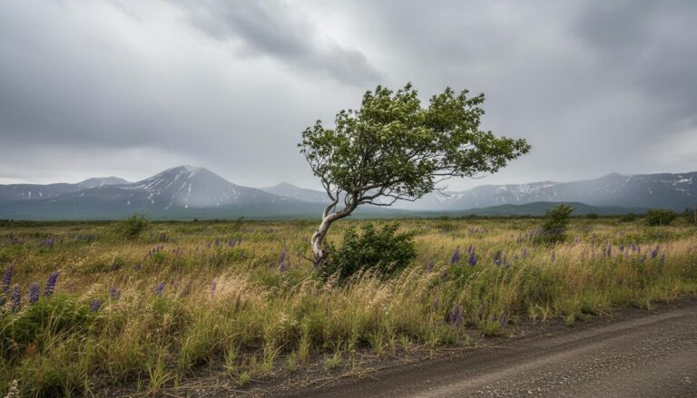Kamchatka Tightens Control Over Invasive Box Elder Tree