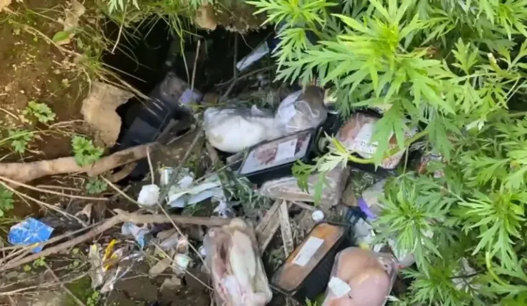 Kamchatka Supermarket Dumps Expired Food Near Residential Area