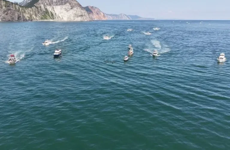 Tourist Helicopters Pursue Orcas and Disturb Wildlife in Kamchatka