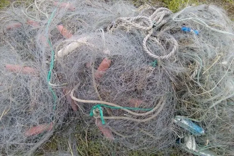 Kamchatka Environmental Violations Exceed 15 Million Rubles