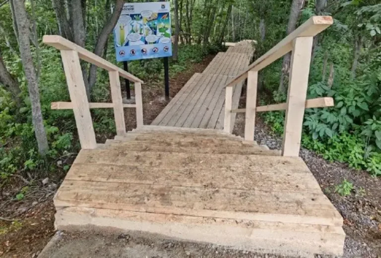 New Kamchatka Eco-Trail Built to Protect Rare Plant Species
