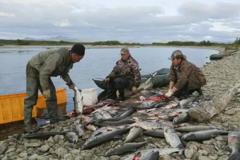 Kamchatka Updates Traditional Fishing Rules for Indigenous Peoples