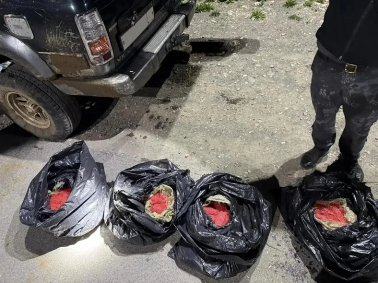 Authorities Seize 450 Kilograms of Poached Salmon Caviar in Kamchatka