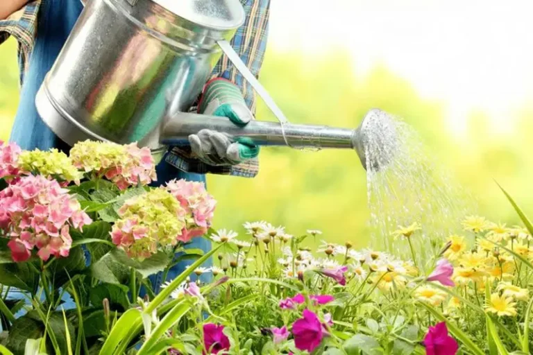 New Russian Regulations Grant Landowners Three Years to Develop Plots