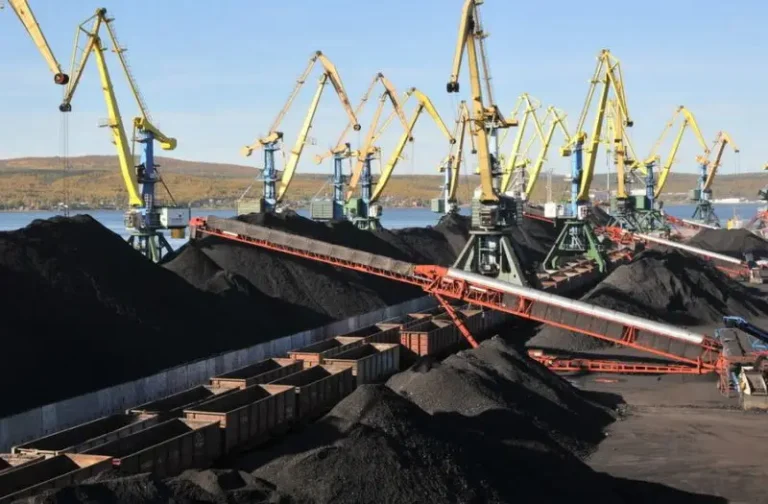 Kamchatka Shipping Firm Fined for Unlicensed Coal Operations