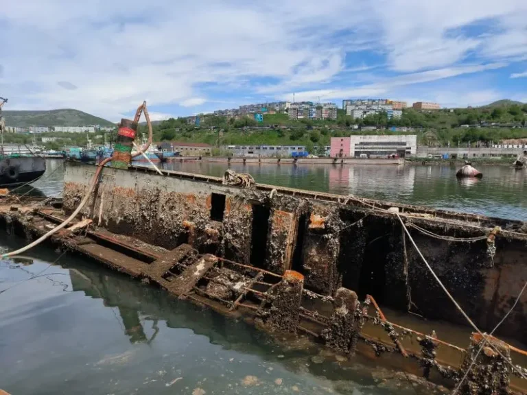 Kamchatka Clears 90 Percent of Sunken Vessels From Avacha Bay