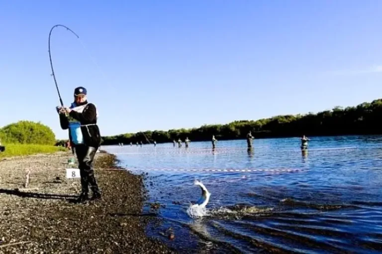 Kamchatka Halves Minimum Salmon Fishing Quotas on Avacha River
