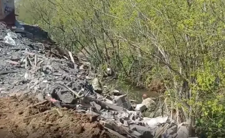 Prosecution Seeks 30 Million Rubles Over Illegal Kamchatka Dump