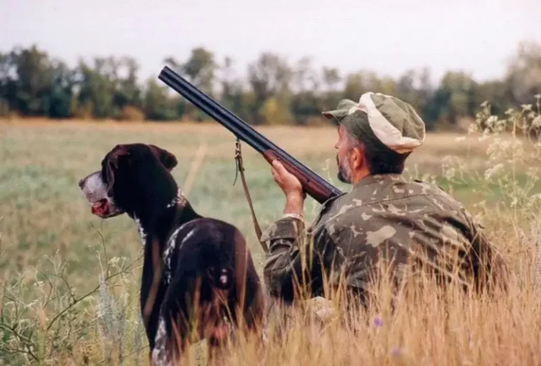 Kamchatka Establishes Wildlife Hunting Quotas