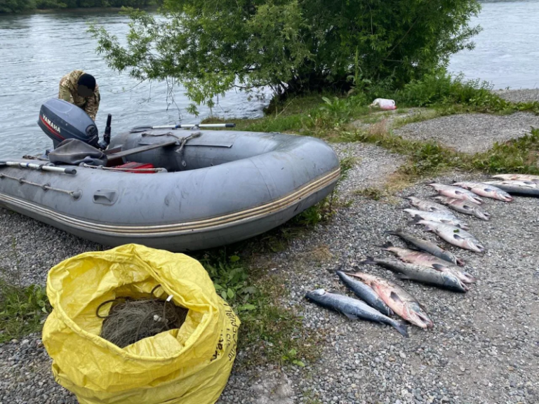 Kamchatka Fishery Inspectors Intercept Salmon Poaching Operations