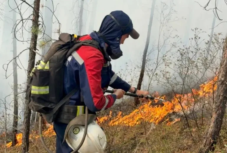 Volunteers Complete Eco-Emergency Response Training in Kamchatka